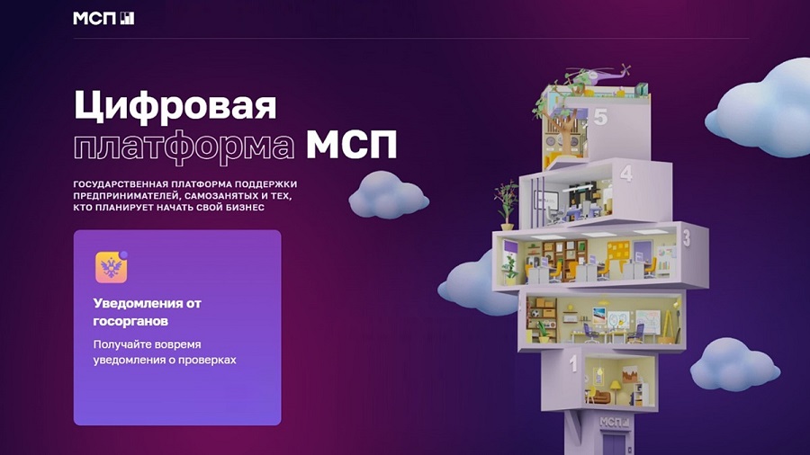 org MSP tsifrovaya platforma 4