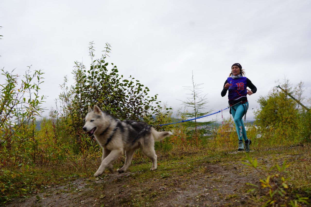 Photo 2024 09 14 12 50 53