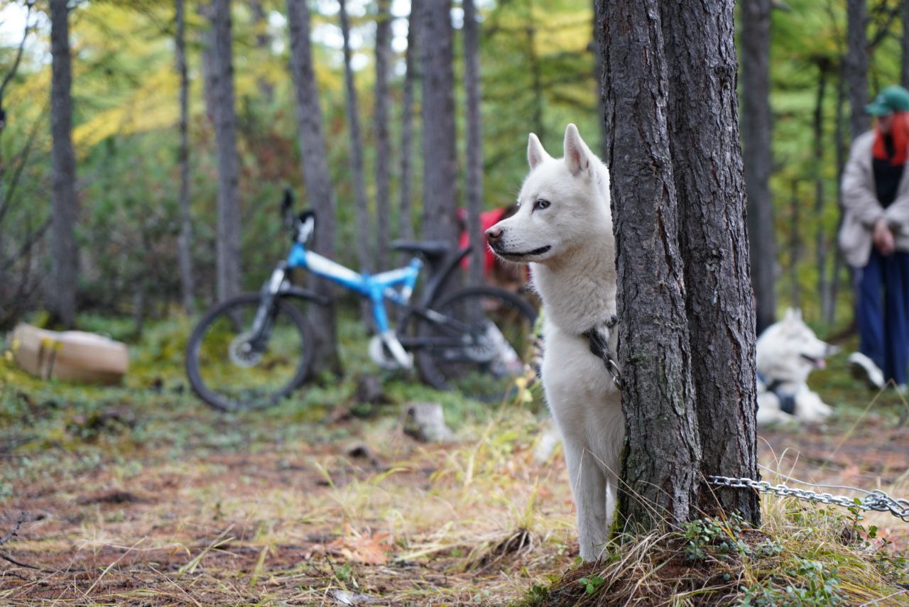 Photo 2024 09 14 15 53 13