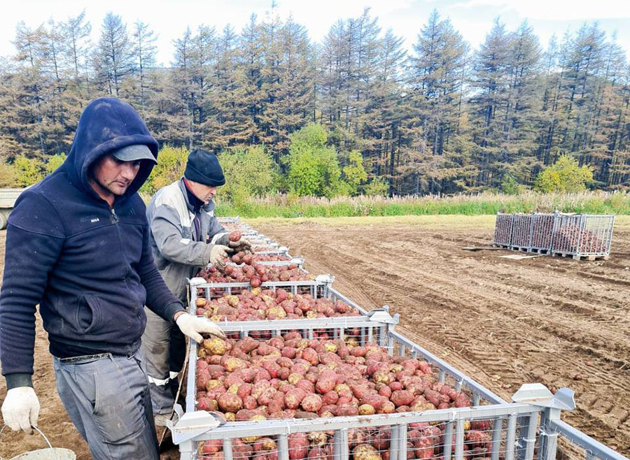 photo 2025 04 09 21 15 20