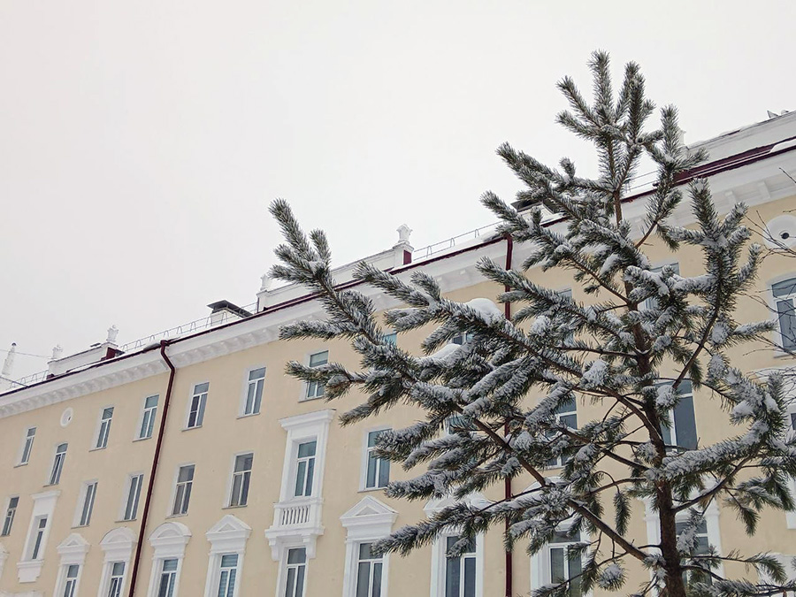 photo 2025 04 15 09 13 42