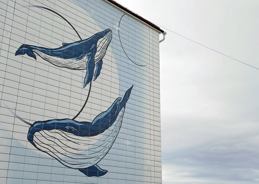 photo 2025 05 14 11 14 28