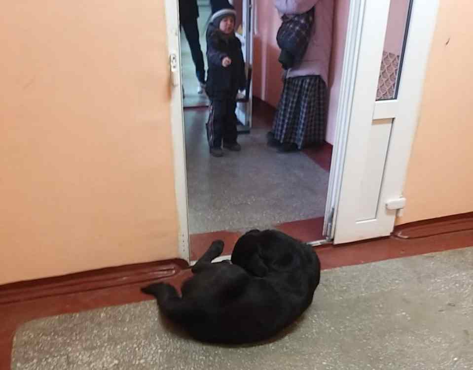 9d91ff3b 4f10 4c0e b7fa 05878cab3b65