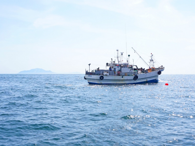 Российским перевозчикам окажут господдержку на международные перевозки промышленной и сельхозпродукции